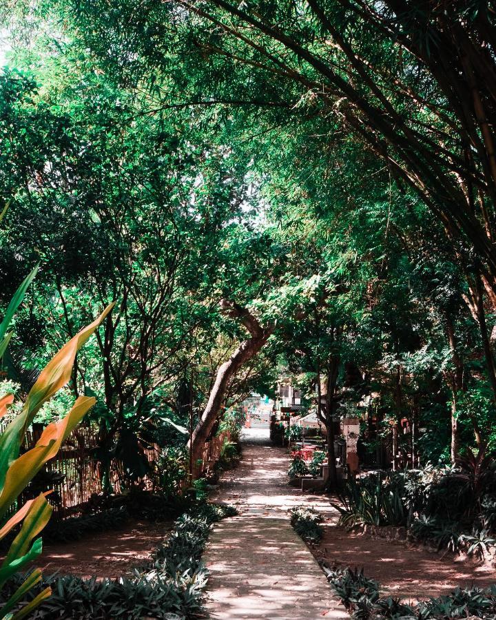 Oasis Balili Heritage Lodge Tagbilaran Extérieur photo