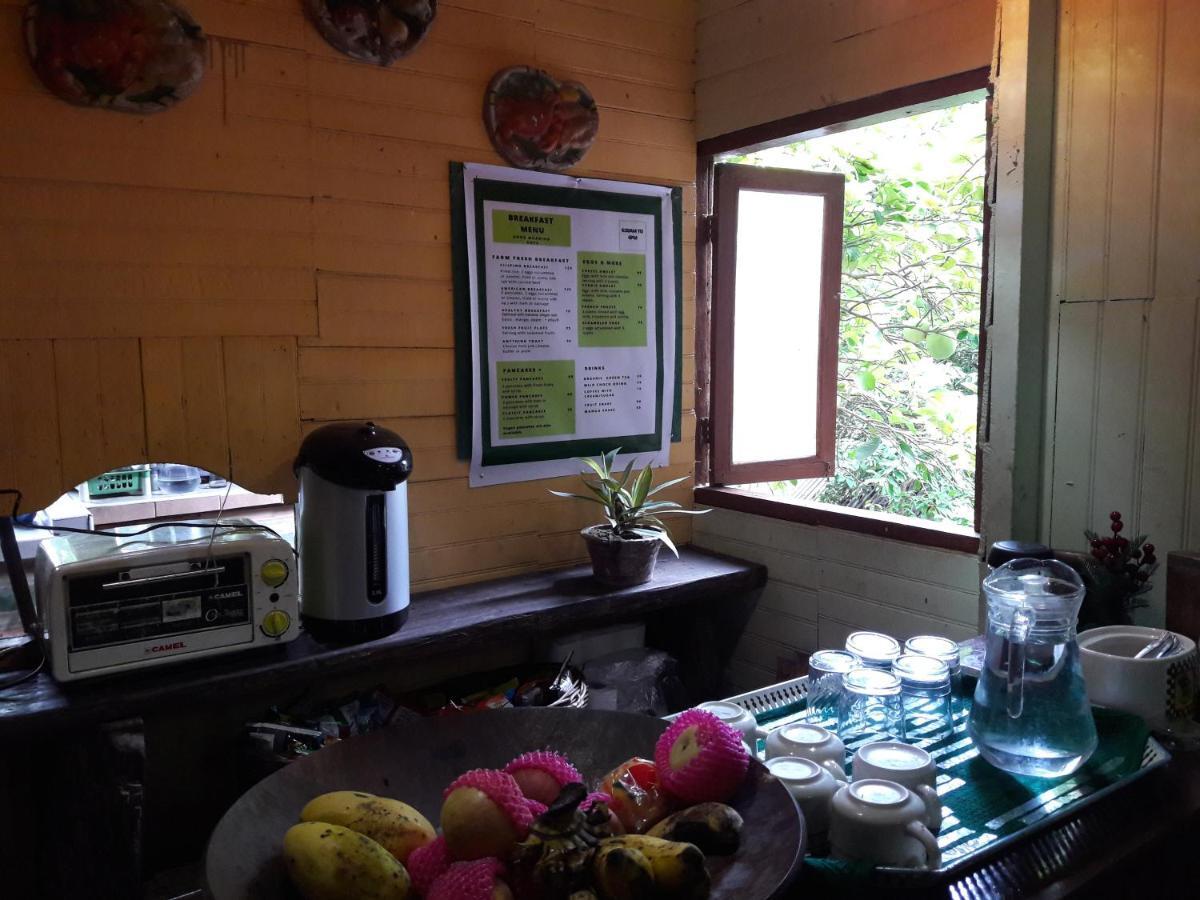 Oasis Balili Heritage Lodge Tagbilaran Extérieur photo